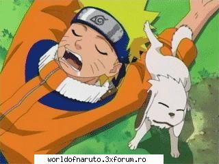 poze amuzante din naruto next