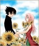 Echipa 7-Viata de cartier - De ce...???a zis Naruto plangand sasusakuino: ce - Fan Fiction