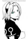 Poze - SakuraHaruno - Sakura Haruno