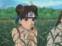 Poze - girl_angels - TenTen