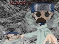 Poze - Laura - Aburame Shino