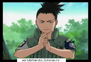 Poze - am pierdut chiar ata de mult timp: normal ca si eu - Shikamaru Nara