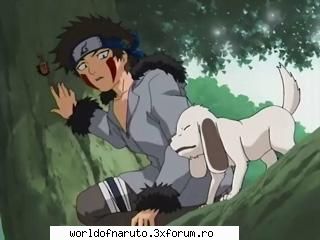 Poze - Haruhi Suzumiya - Kiba Inzuka si Akamaru