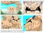 Poze - madalina-sakura-sasuke - Shukaku