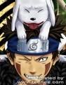 ce va place la kiba? - kiba nu e prefratul meu (naruto este )dar mam - Kiba Inzuka si Akamaru