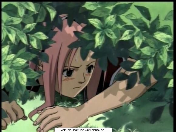 sakura vs karin - Sakura normal,personal cred ca se foloseste de - Sakura Haruno
